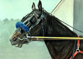 Standardbred, Equine Art - Spring Training